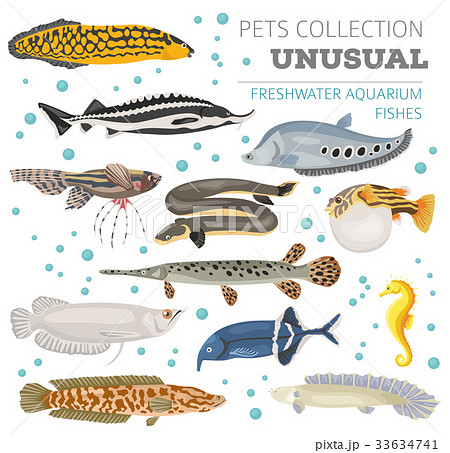 Freshwater aquarium unusual fish icon set 33634741