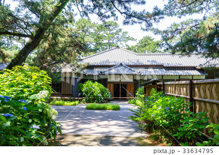 沼津御用邸記念公園のアジサイ 33634795