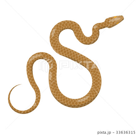 Slither Brown Python Snake Top View Vector Iconのイラスト素材 [33636315] - PIXTA