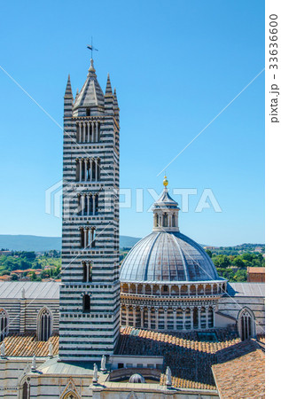 Striped facade of Santa Maria Assunta Cathedral in Striped facade of Santa Maria Assunta Cathedral in 33636600