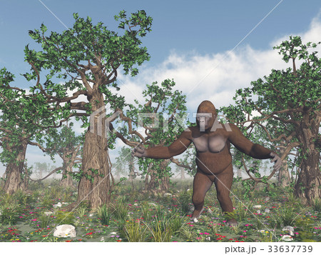 Bigfoot in the wild Bigfoot in the wild 33637739