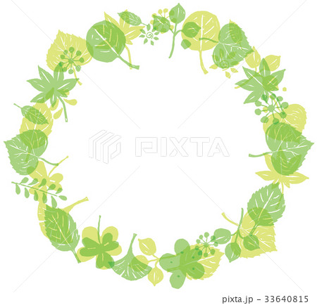 若葉　背景素材 33640815