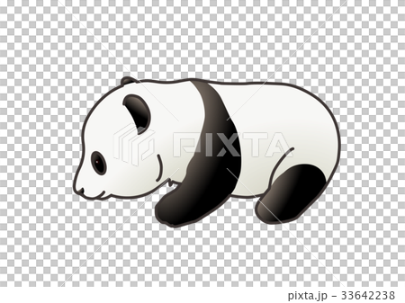 Child panda 10 33642238