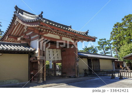 薬師寺 薬師寺 33642421