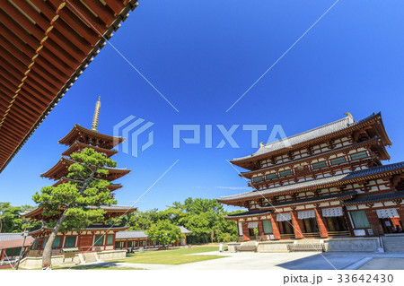 薬師寺 33642430