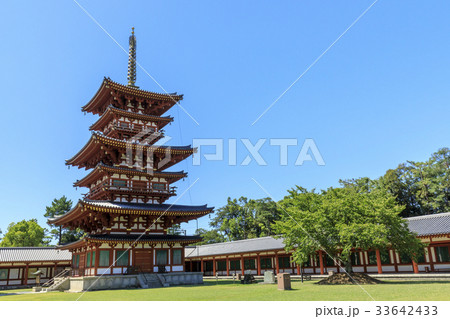 薬師寺 33642433