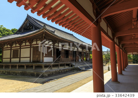 薬師寺 薬師寺 33642439