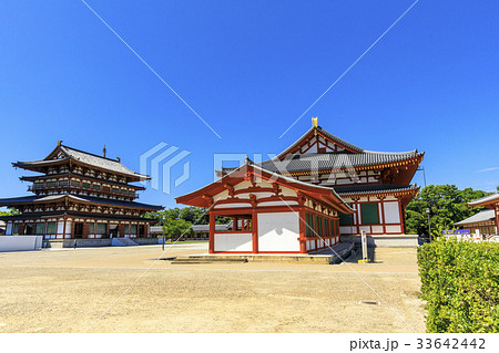薬師寺 薬師寺 33642442