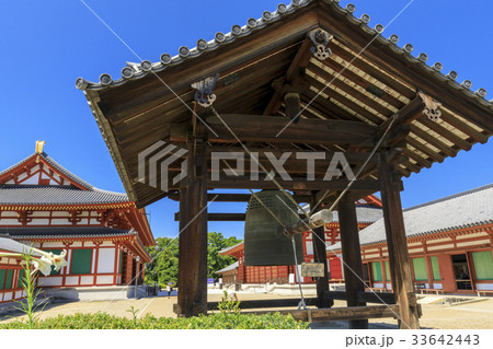 薬師寺 薬師寺 33642443