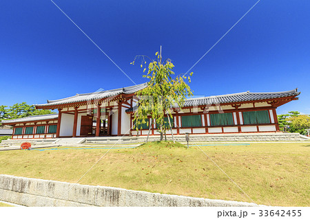 薬師寺 33642455