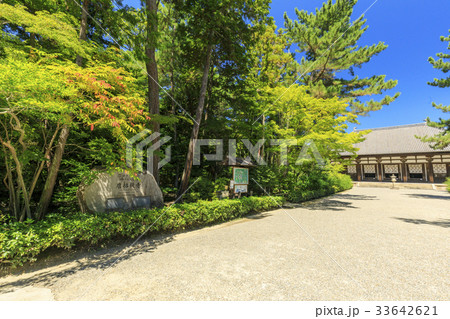 唐招提寺 唐招提寺 33642621