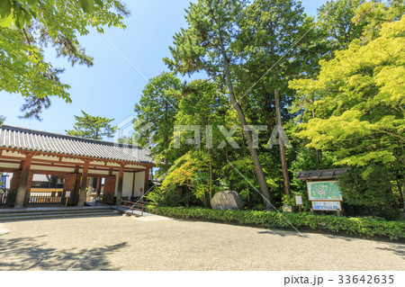 唐招提寺 33642635