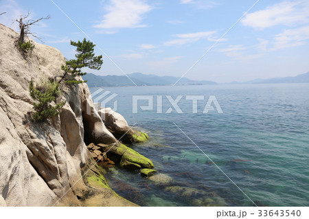 coast of  Okunoshima at japan 33643540