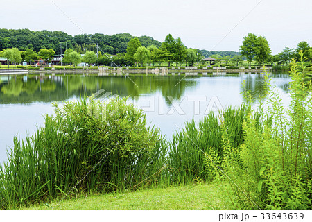 平池公園　（兵庫県加東市） 33643639