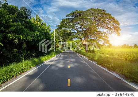 Rural roads Beside with nature and tree big green Rural roads Beside with nature and tree big green 33644846