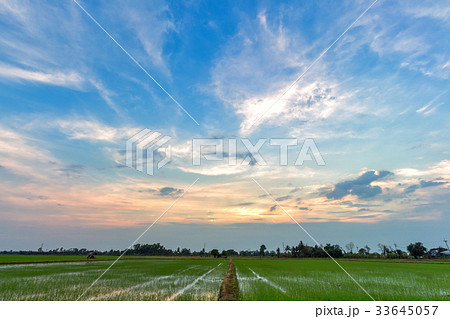 blue sky background with evening sunset. 33645057