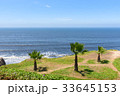 Palm trees and the garden by the ocean coast 33645153