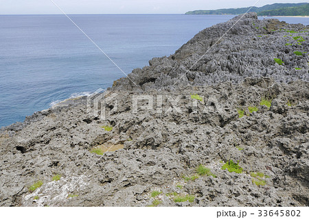 沖縄 沖縄 33645802