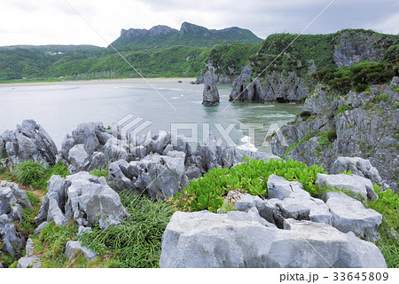 沖縄 沖縄 33645809