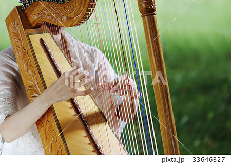 ラテンハープ（アルパ、パラグアイアン・ハープ） 33646327