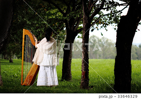 ラテンハープ(アルパ、パラグアイアン・ハープ) ラテンハープ(アルパ、パラグアイアン・ハープ) 33646329