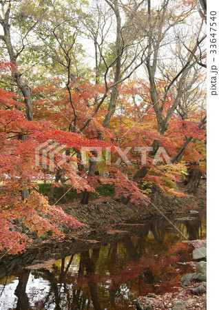 谷 ソンウンサン 全北 33647540