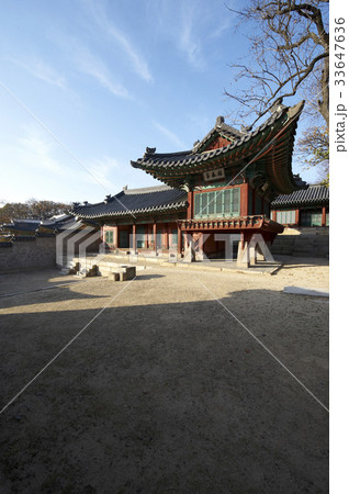 宮殿 庭 昌徳宮 33647636