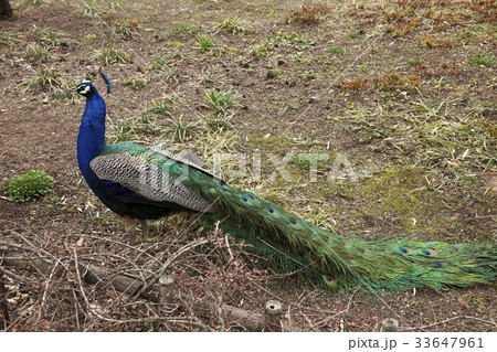 京畿道 キョンギド 工作 33647961