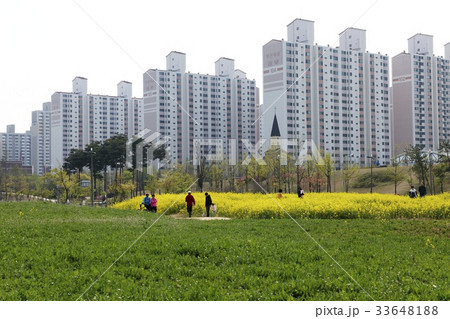 京畿道 キョンギド ビル 33648188