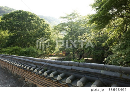 内蔵寺 全北 井邑市 33648465