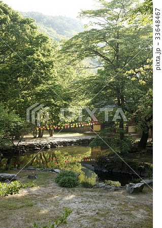 内蔵寺 提灯 全北 33648467