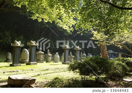 内蔵寺 不渡り 全北 33648483