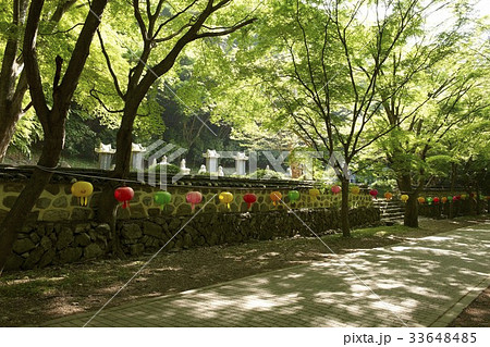 影 内蔵寺 全北 33648485