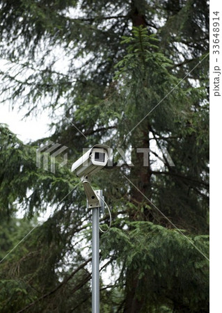 CCTV 監視カメラ 木 33648914