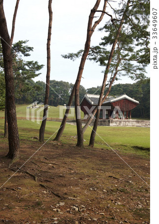 高陽市 コヤンシ 墓 33649607