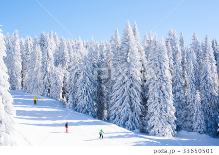 panorama of slope at ski resort Kopaonik, Serbia, panorama of slope at ski resort Kopaonik, Serbia, 33650501