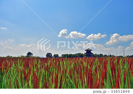 鞠智城 鞠智城 33651849