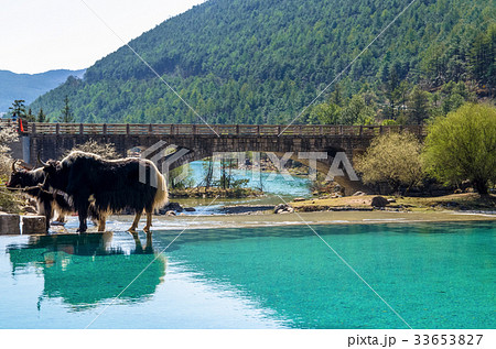 Beautiful Blue Moon Valley in Lijiang China. 33653827