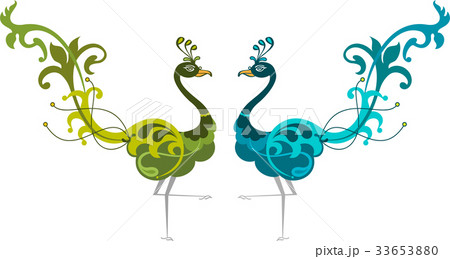 Peacock Artistic Hand Drawn 33653880