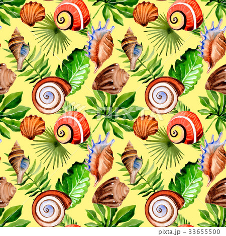 Tropical Hawaii leaves palm tree and sea shell 33655500