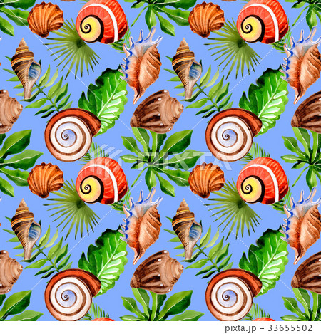 Tropical Hawaii Leaves Palm Tree And Sea Shellのイラスト素材