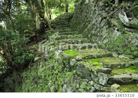法常寺の苔の参道 法常寺の苔の参道 33655510