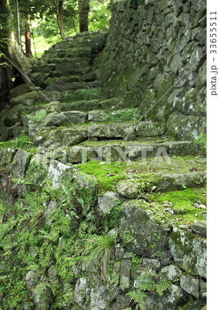 法常寺の苔の参道 法常寺の苔の参道 33655511