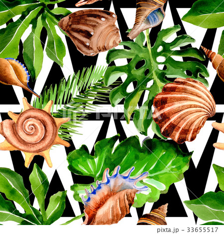Tropical Hawaii leaves palm tree and sea shell 33655517