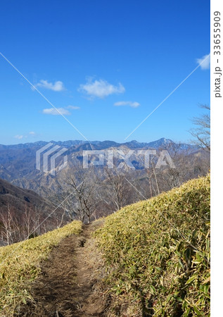 半月山登山道からの眺め 33655909