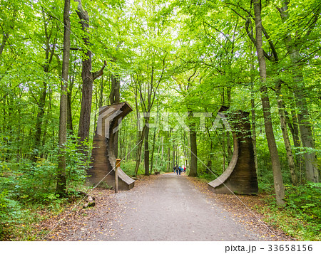 フナの原生林と遊歩道 ハイニッヒ国立公園 ドイツ フナの原生林と遊歩道 ハイニッヒ国立公園 ドイツ 33658156