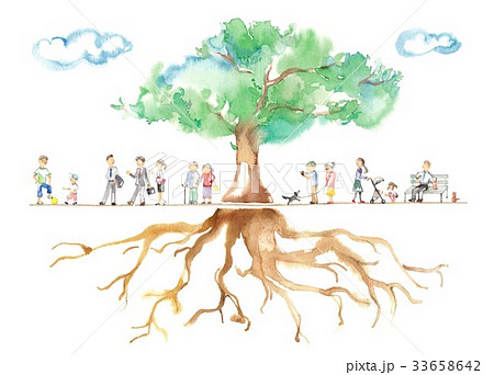 公園の大木、男性とシニア、雲、根、動物、女性たち 33658642