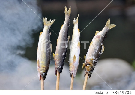 アユの塩焼き アユの塩焼き 33659709