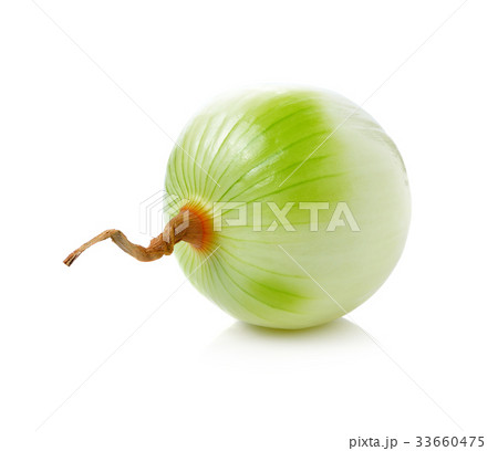 onion isolated on white background 33660475