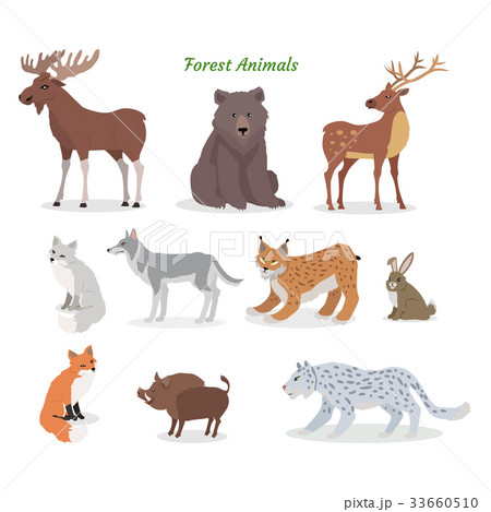 Forest Animals Set. Wildlife Characters. Vector 33660510